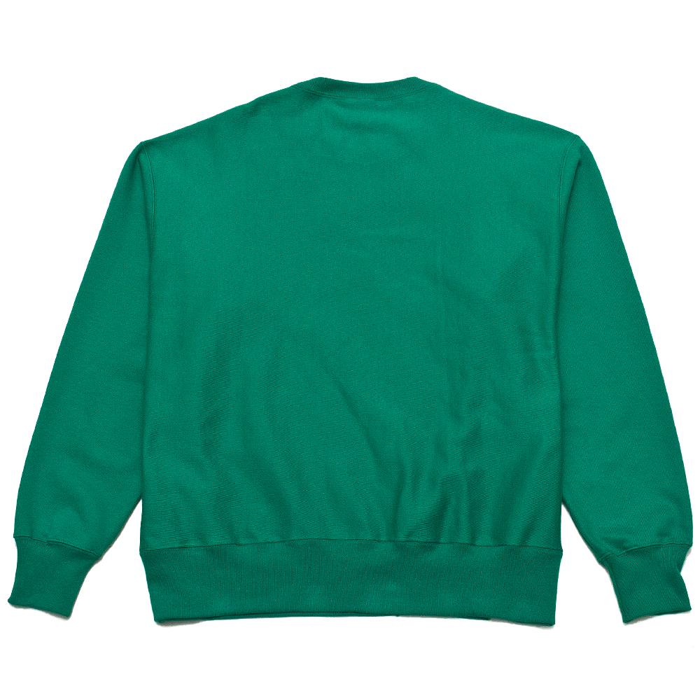 Champion Fleece Pullover Kelly Green at shoplostfound, back