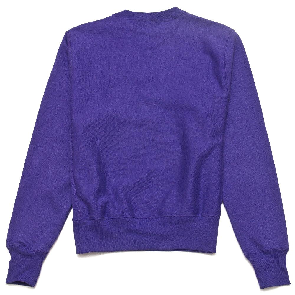 Champion Fleece Pullover Purple at shoplostfound, back